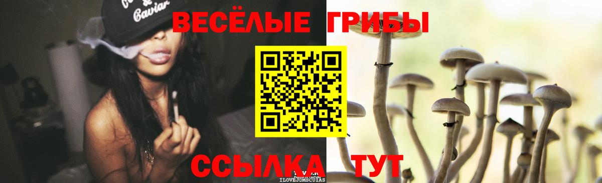 Псилоцибиновые грибы мухоморы  продажа наркотиков  Волжск  Галлюциногенные грибы прущие грибы  Вход с VPN 